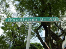 Woodlands Drive 40 #71912